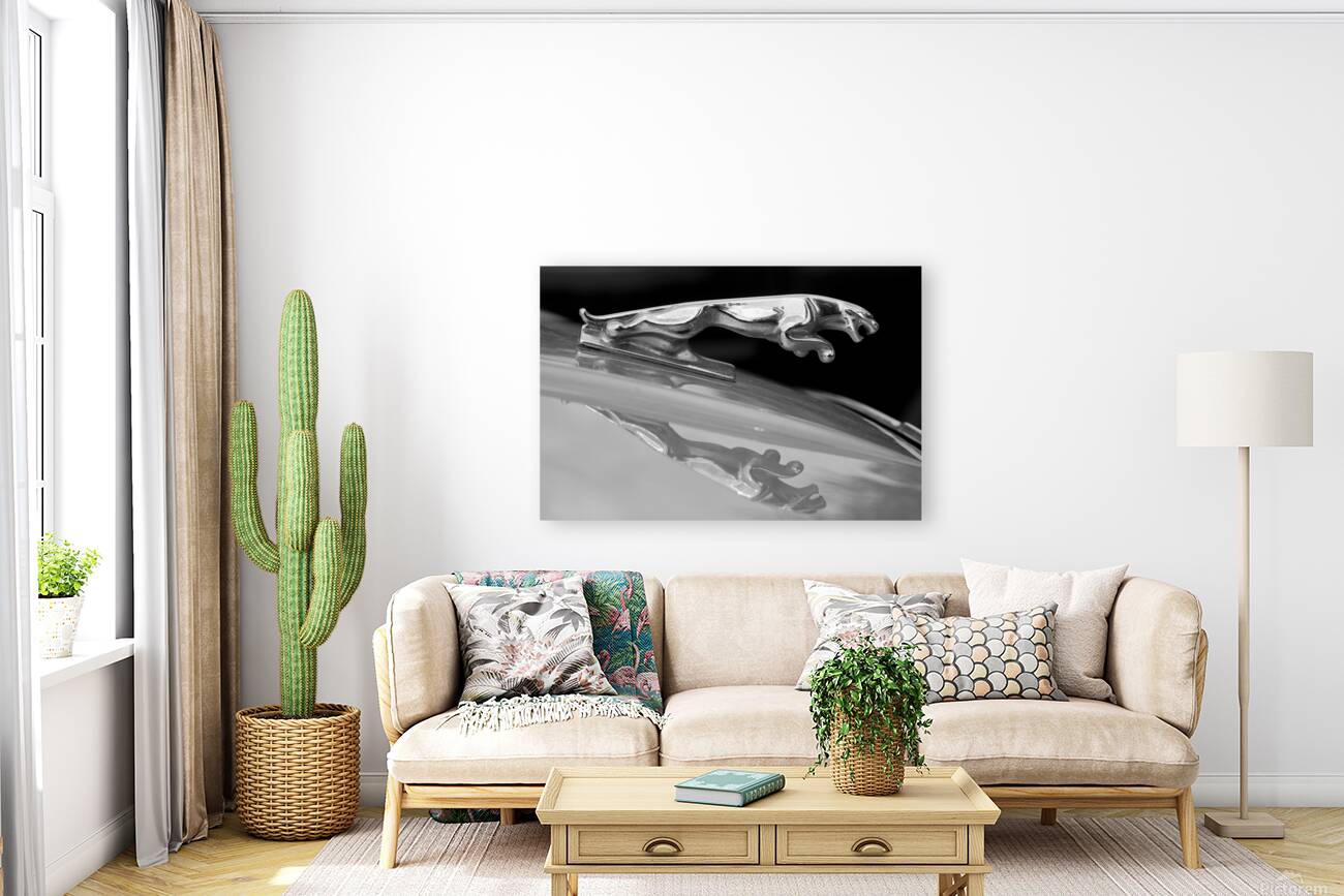 Jaguar Car Hood Ornament Reflection BW Reproduction