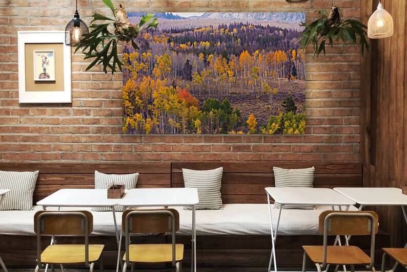 Rocky Mountain Autumn View by Bo Insogna