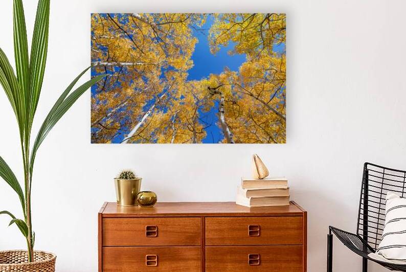 Aspen Curve Reproduction