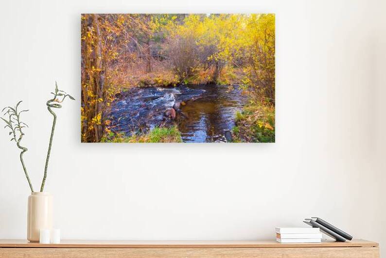 Golden Autumn Creek – Serene Fall Foliage Nature Photography Reproduction