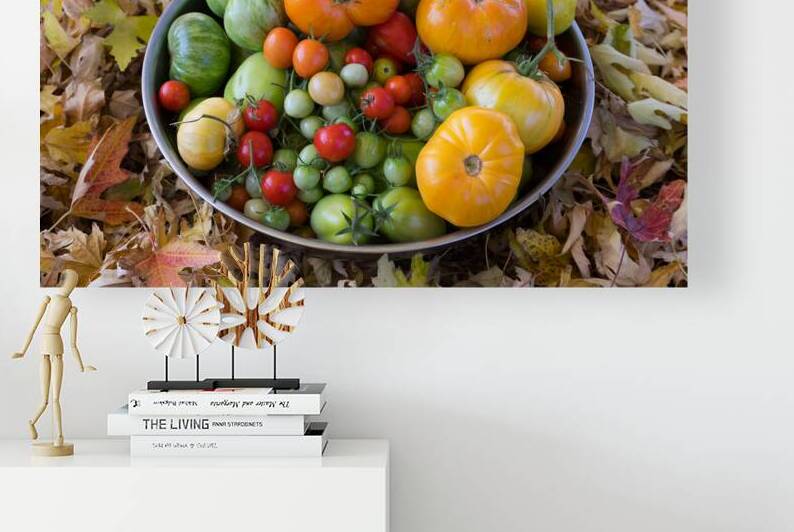 Colorful Heirloom Tomato Harvest in Autumn Leaves by Bo Insogna
