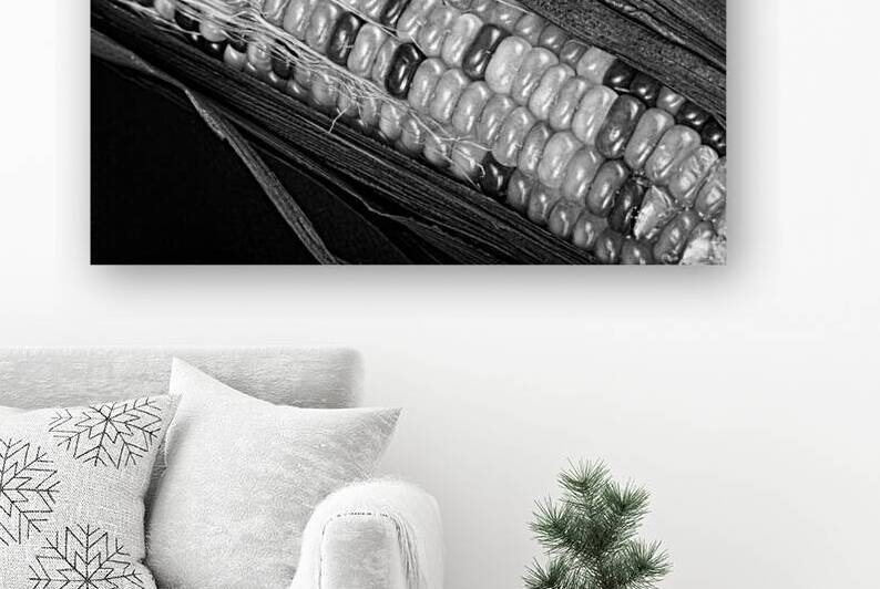 Indian Corn Black and White by Bo Insogna