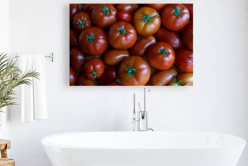 Fresh Tomatoes by Bo Insogna