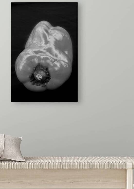 Red Pepper Bringing Sexy Back Black and White by Bo Insogna