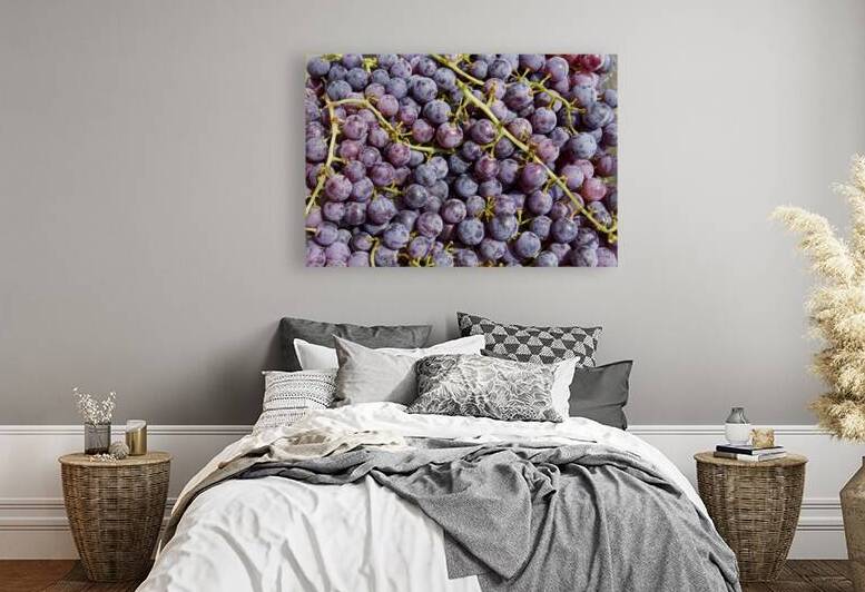 Grapes Up Cluse by Bo Insogna