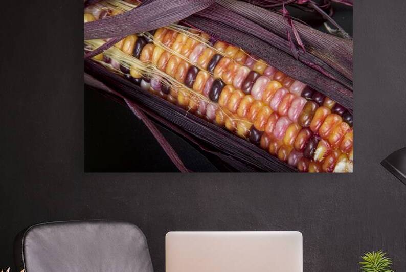Colorful Indian Corn by Bo Insogna