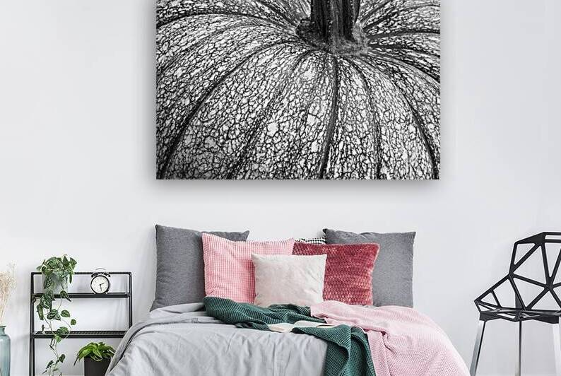 Pumpkin Pumpkin Black and White by Bo Insogna