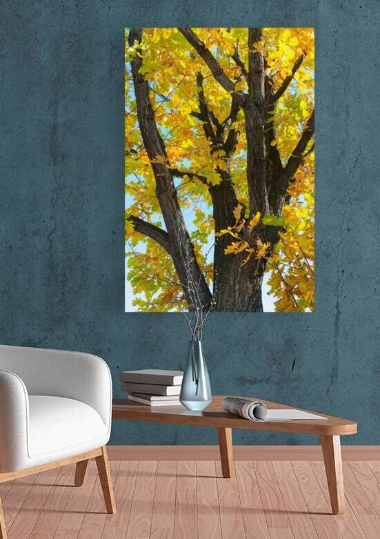 Some Un be leaf able Fall Vibes by Bo Insogna