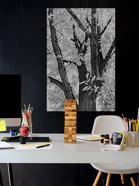 Tree mendous Elegance in Black and White by Bo Insogna