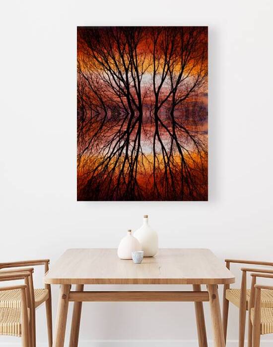 Sunset Tree Silhouette Abstract 2 by Bo Insogna