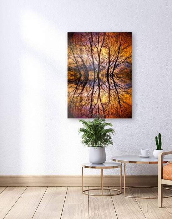 Sunset Tree Silhouette Abstract 1 by Bo Insogna