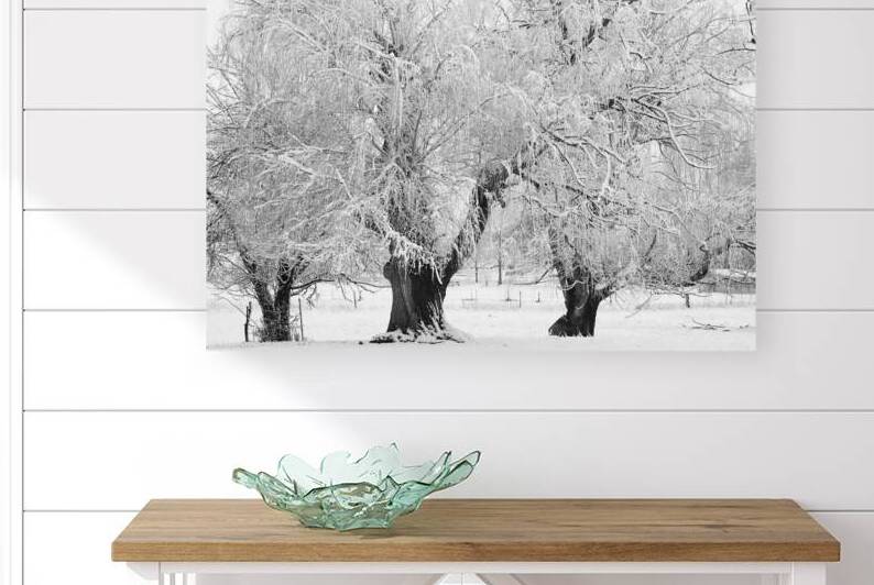 Three Trees Reproduction