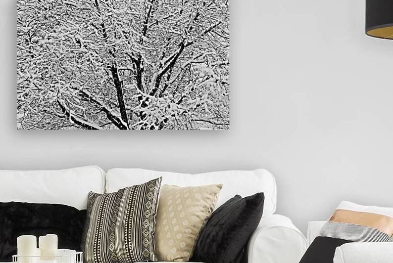 Black and White Snowy Tree Branches Abstract Three by Bo Insogna