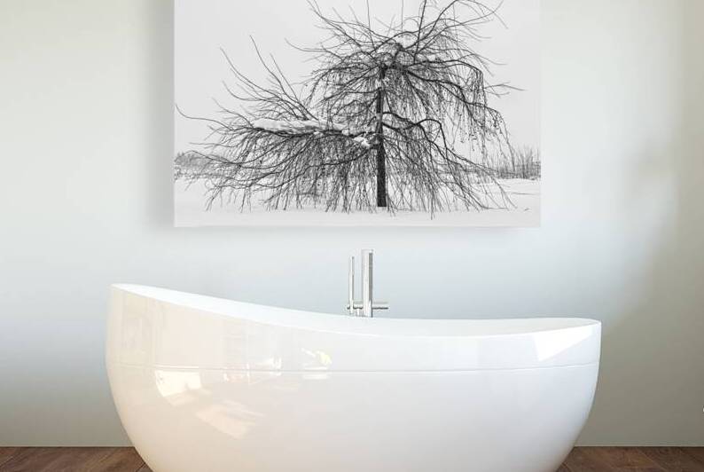 Wild Springtime Winter Tree Black and White by Bo Insogna