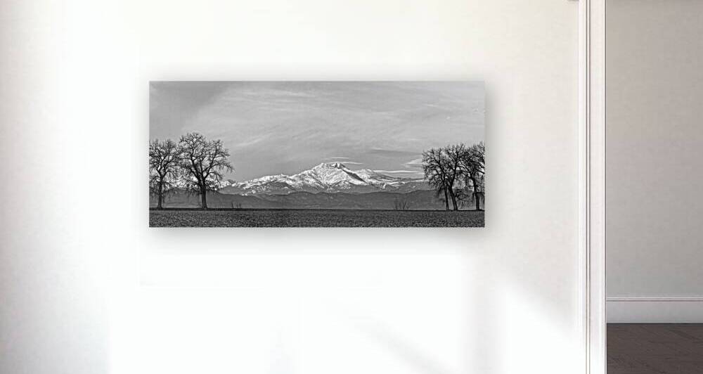 Twin Peaks Between The Trees BW Panorama by Bo Insogna