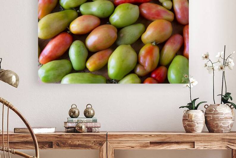 Harvests Bounty A Colorful Medley of Roma Tomatoes by Bo Insogna
