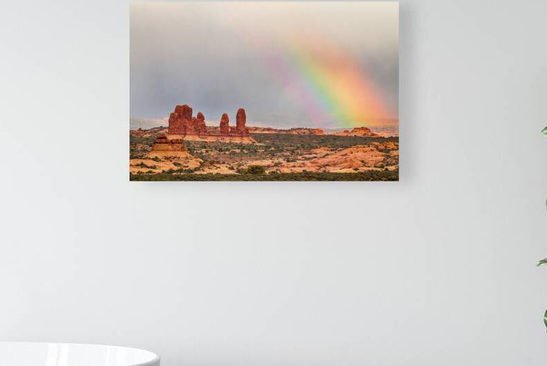 A Desert Rainbows Vibrant Display by Bo Insogna