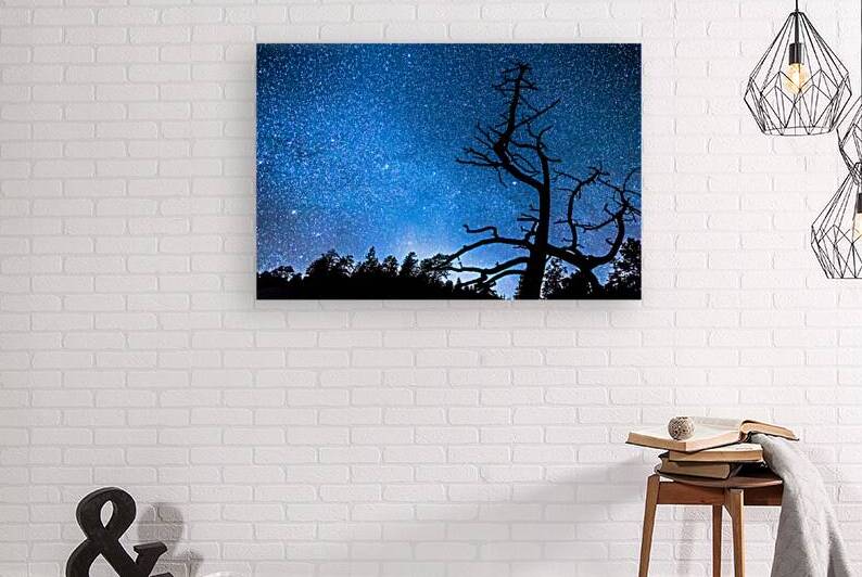 Starry Night at Bryce Canyon Reproduction
