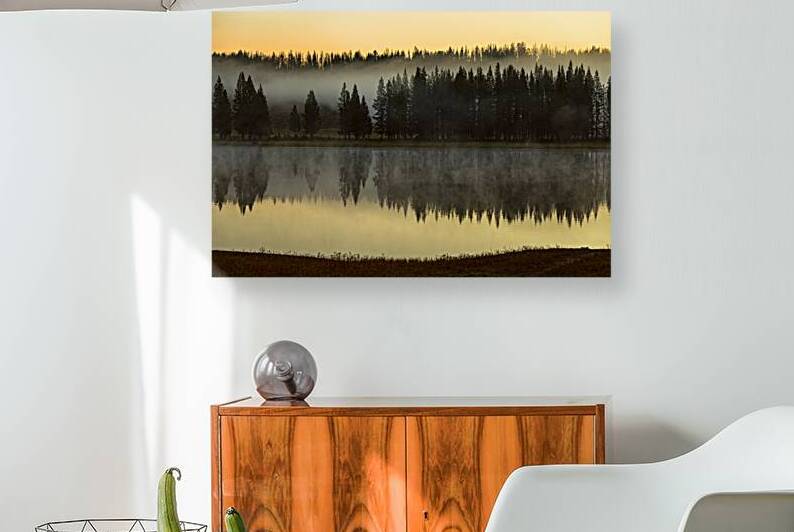 Yellowstone Wyoming Foggy Forest Lake Reflection Fine Art Print by Bo Insogna