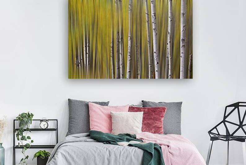 Somewhere Along The Road Dreaming Abstract Aspen Forest Fine Art by Bo Insogna