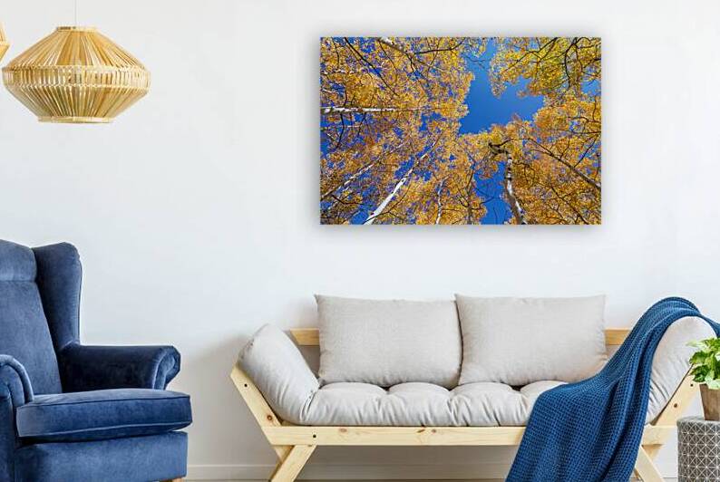 Aspen  Curve Reproduction
