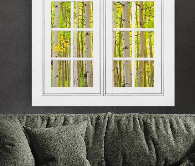 Aspen Forest White Picture Window Frame View by Bo Insogna