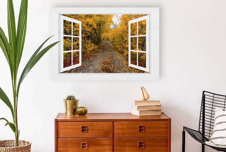 Colorful Trees Down the Drive White Open Window by Bo Insogna