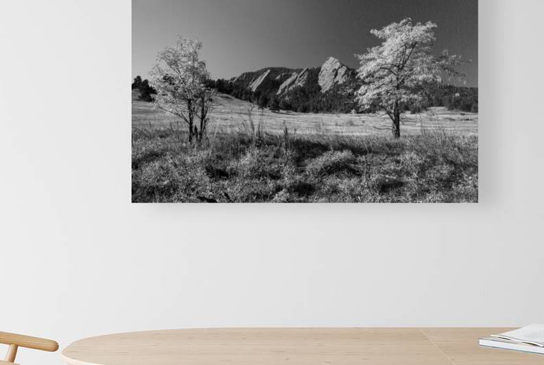 Boulder Colorado Flatirons Black White by Bo Insogna