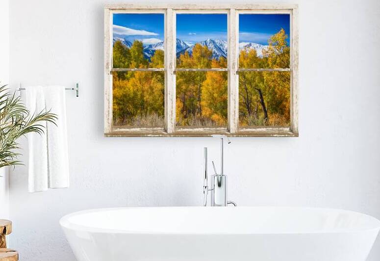 Independence Pass Autumn View White Window by Bo Insogna