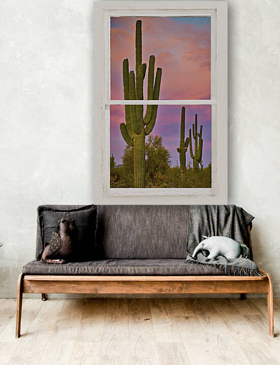 Colorful Southest White Distressed Window View by Bo Insogna