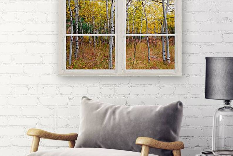 Happy Forest  Autumn Season Rustic Window View by Bo Insogna