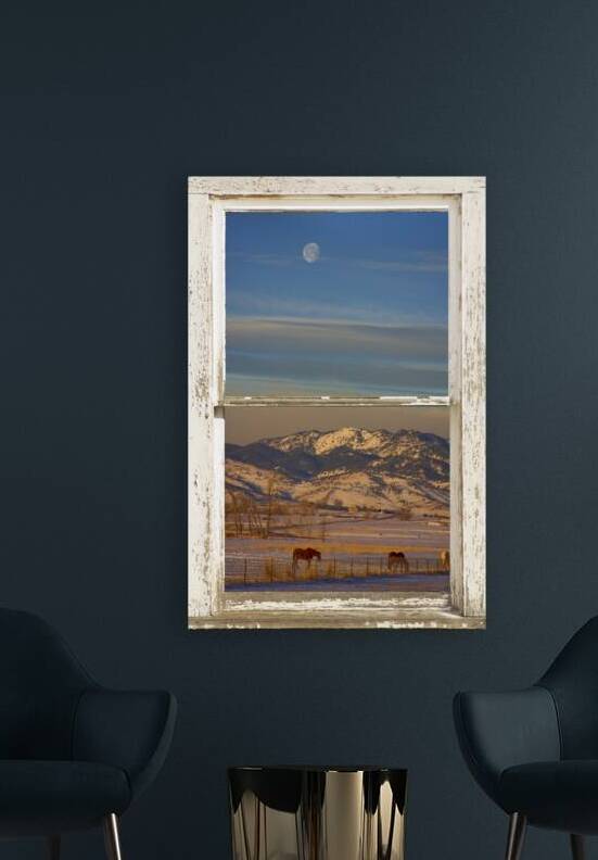 Horses Moon Mountains Snow White Peel Rustic Window by Bo Insogna
