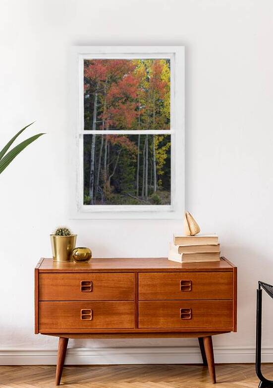 Aspen Forest Red Rustic Window View by Bo Insogna