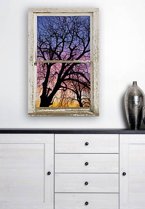 Colorful Tree White Farm House Window Portrai by Bo Insogna