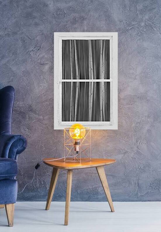 Surreal Dreamy Aspen Forest White Rustic Window by Bo Insogna