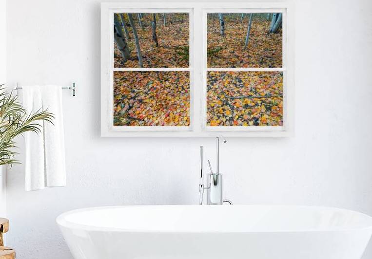 Mother Nature Whitewash Picture Window View by Bo Insogna