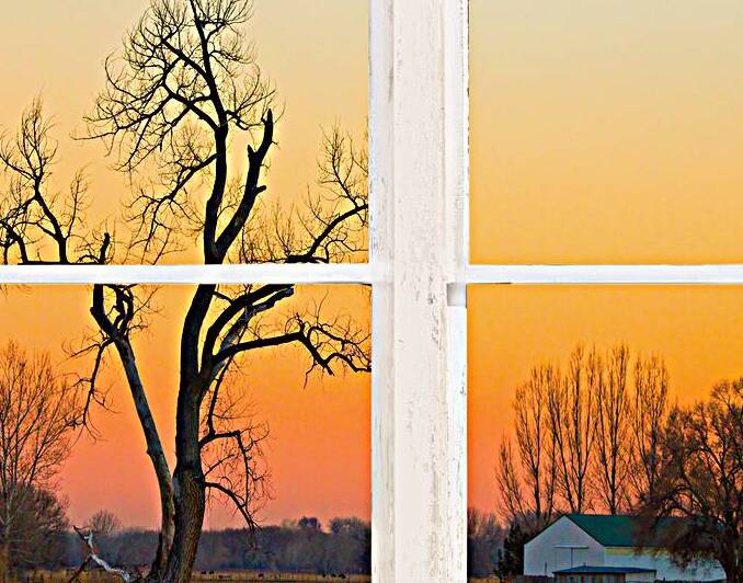 Winter Season Country Sunet White Window View by Bo Insogna
