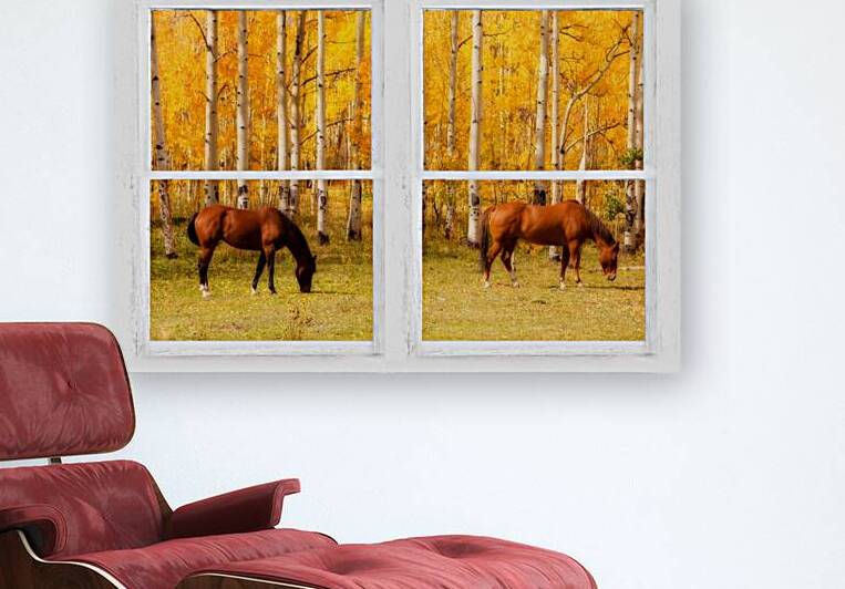2 Horses Aspen Trees Whitewash Picture Window by Bo Insogna