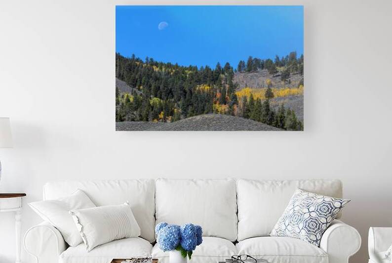 Autumn Moon Reproduction