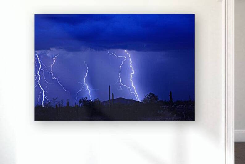 Lightning Storm in the Desert by Bo Insogna