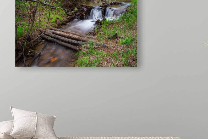 Creek Crossing Forest Woods by Bo Insogna