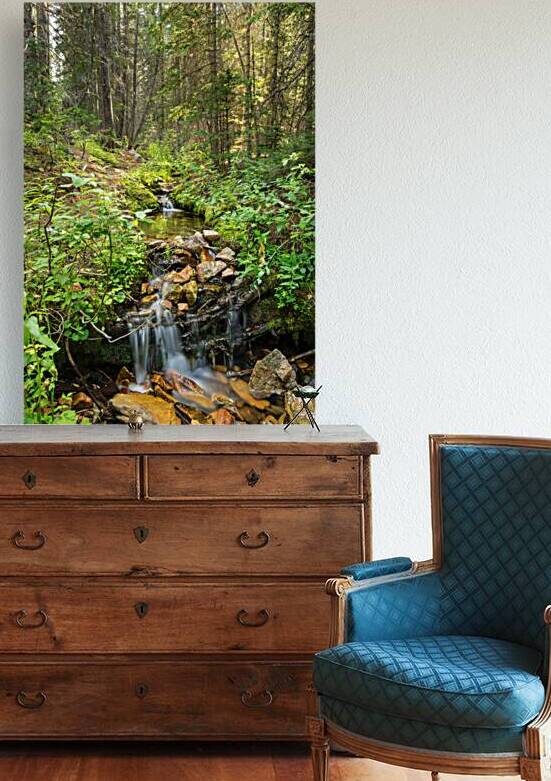 Forest Streaming by Bo Insogna