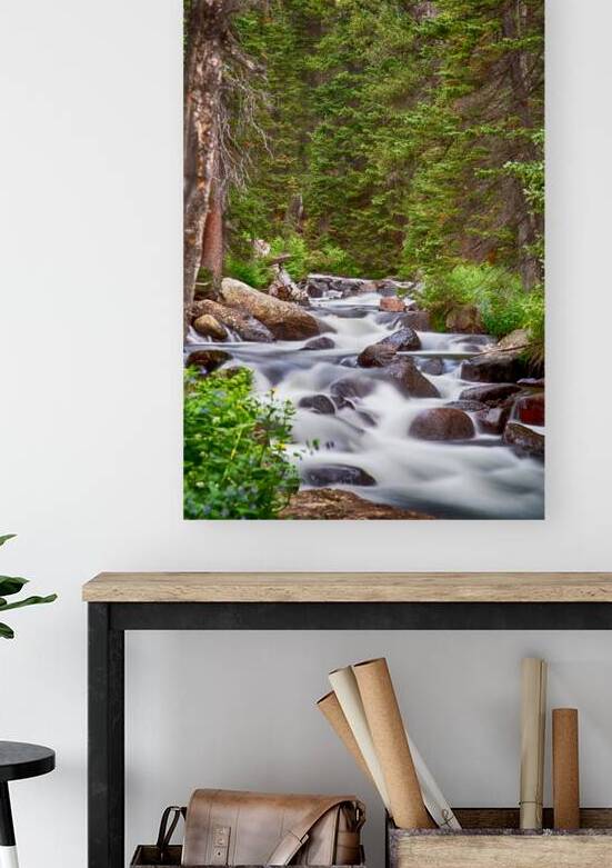 Mountain Stream Reproduction