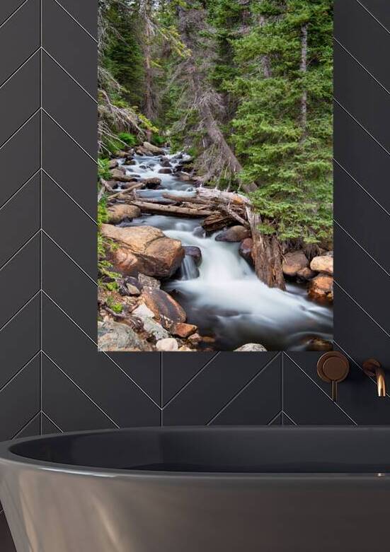 Rocky Mountain Stream by Bo Insogna