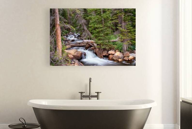Rocky Mountains Stream Scenic Landscape Reproduction