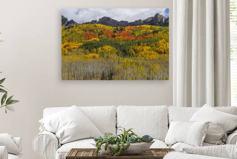 Colorado Kebler Pass Fall Foliage by Bo Insogna