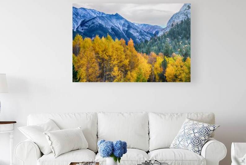 Colorful Crested Butte Colorado by Bo Insogna