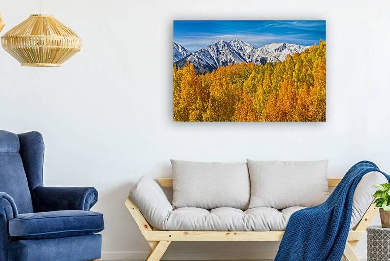 Colorado Rocky Mountain Autumn Beauty by Bo Insogna