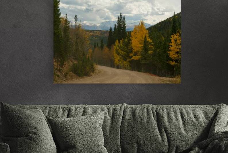 Dirt Road Paradise Cruising by Bo Insogna