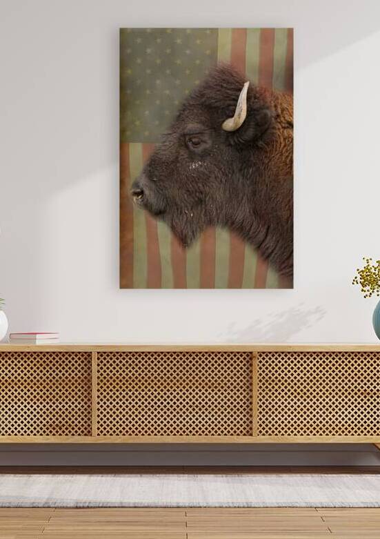 American Bison Profile Reproduction